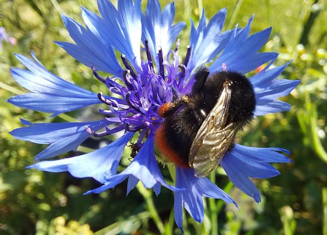 Merz gegen uns alle: Angriff auf die Zivilgesellschaft abwehren!