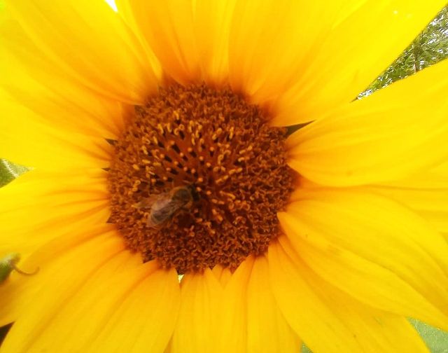 Kreistagsfraktion: Schulen fit für die Zukunft machen