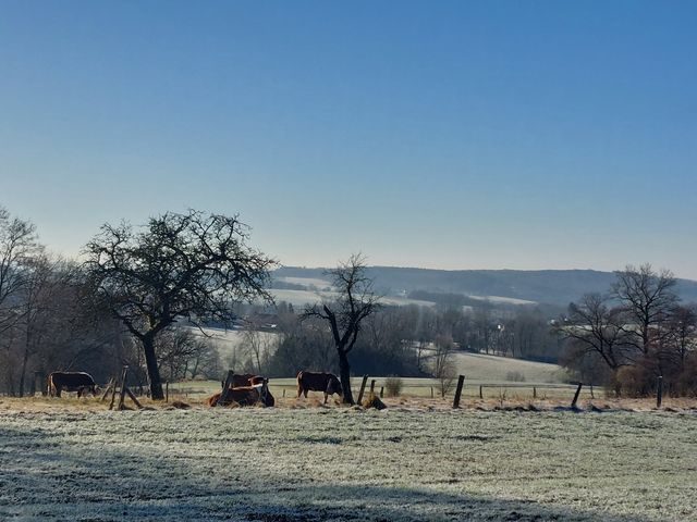 VG Altenkirchen-Flammersfeld: Stellungnahme zum Flächennutzungsplan