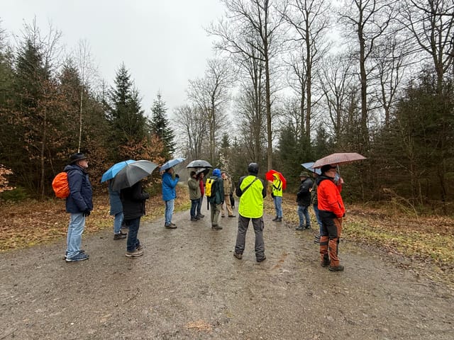 Waldführung der GRÜNEN Hamm Wissen: Zukunft der Wälder im Klimawandel