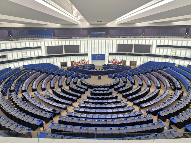 Grüne aus Altenkirchen unterwegs in Straßburg